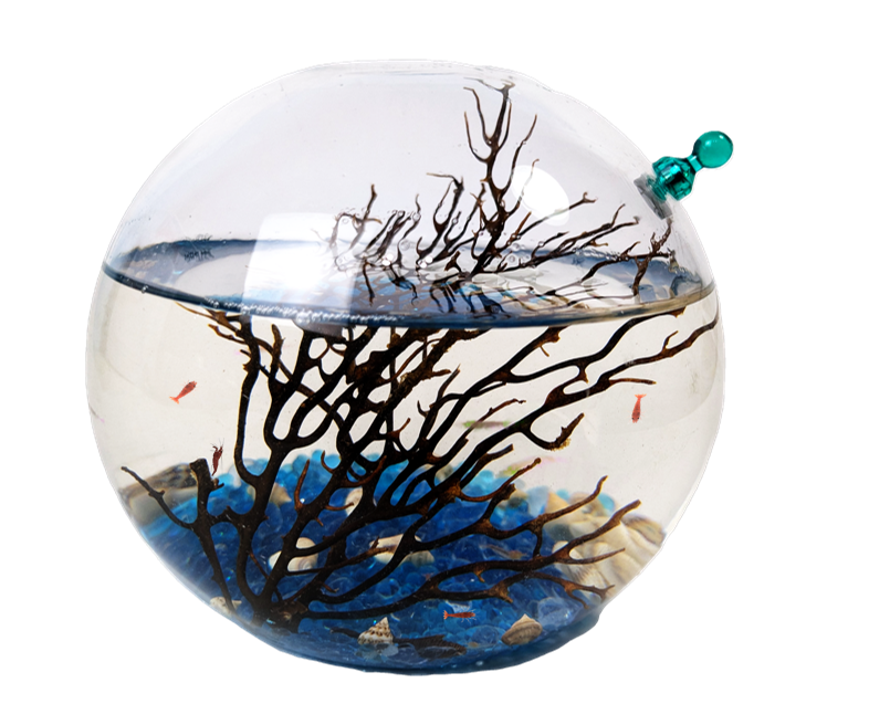 Shrimp Ecosphere - Closed Aquatic Ecosystem  (medium, blue, glass, natural materials, round) size: 6x6x6 (Copy)