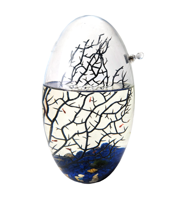Shrimp Ecosphere - Closed Aquatic Ecosystem  (large, blue glass, natural materials, oval)