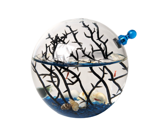Shrimp Ecosphere - Closed Aquatic Ecosystem (blue, small, glass, natural materials, round) size: 3x3x3 (Copy)
