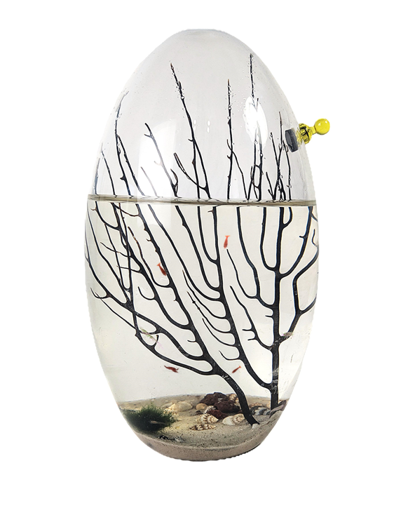 Shrimp Ecosphere - Closed Aquatic Ecosystem  (large glass, natural materials, oval)