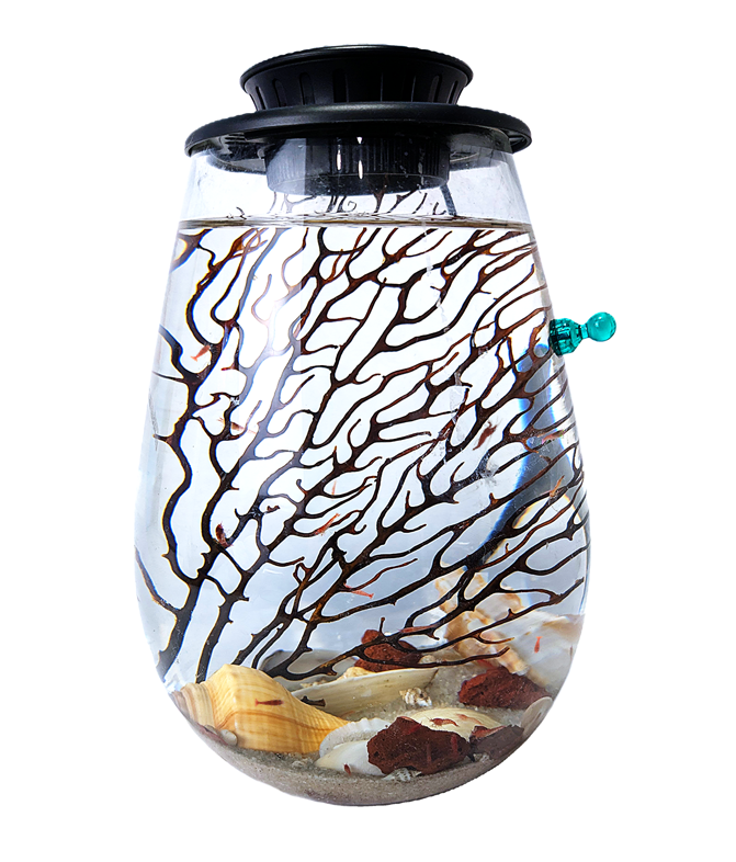 Shrimp Jar with LED V2- Open Aquatic Ecosystem (Large, glass, natural materials)