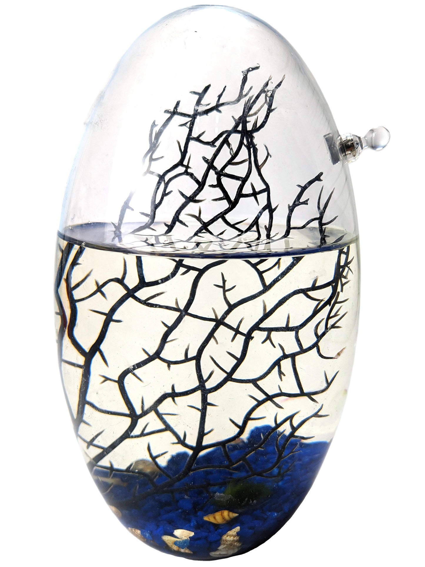 Shrimp Ecosphere - Closed Aquatic Ecosystem  (large, blue glass, natural materials, oval)