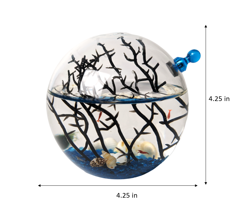 Shrimp Ecosphere - Closed Aquatic Ecosystem (blue, small, glass, natural materials, round) size: 3x3x3 (Copy)