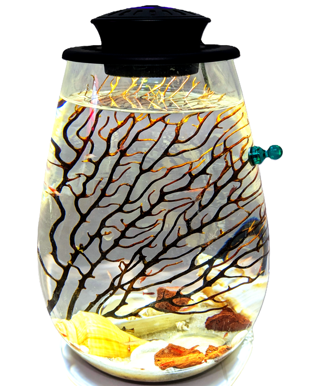 Shrimp Jar with LED V2- Open Aquatic Ecosystem (Large, glass, natural materials)