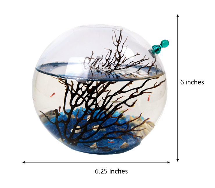 Shrimp Ecosphere - Closed Aquatic Ecosystem  (medium, blue, glass, natural materials, round) size: 6x6x6 (Copy)