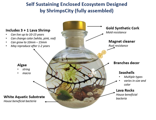 Shrimp ball - Semi Closed Aquatic Ecosystem (small, glass, natural materials, round)