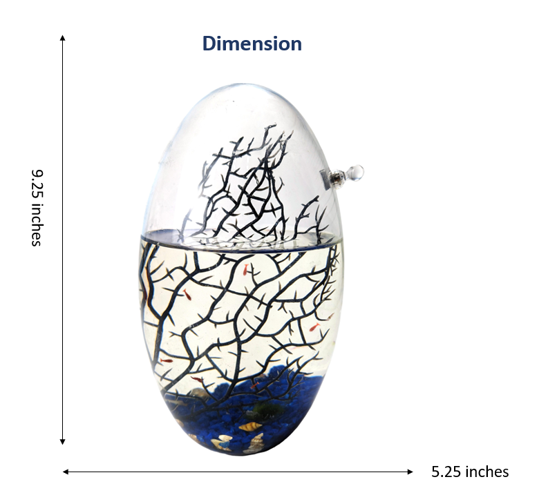 Shrimp Ecosphere - Closed Aquatic Ecosystem  (large, blue glass, natural materials, oval)