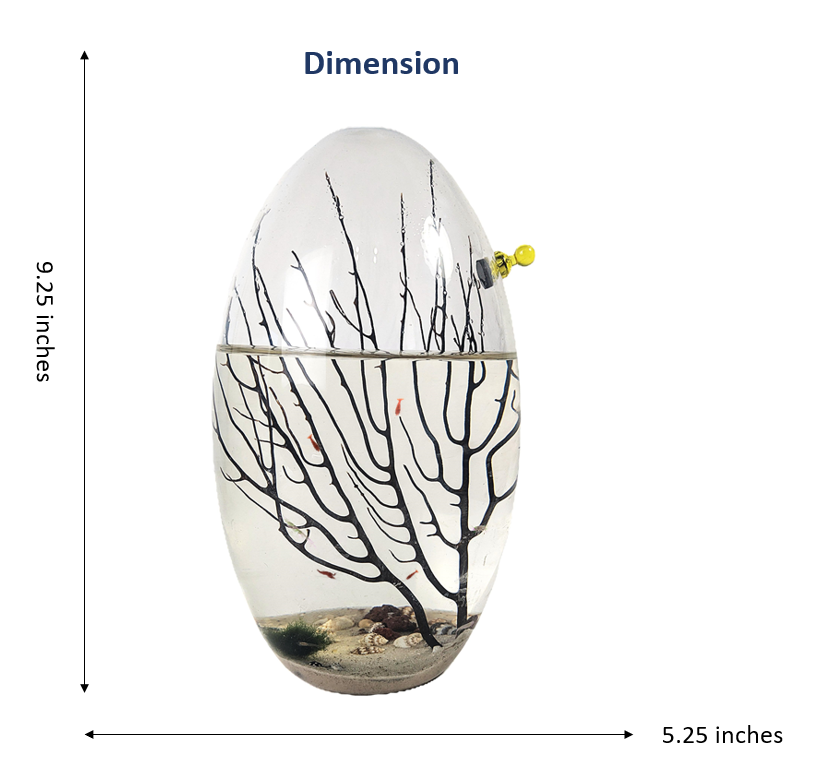 Shrimp Ecosphere - Closed Aquatic Ecosystem  (large glass, natural materials, oval)