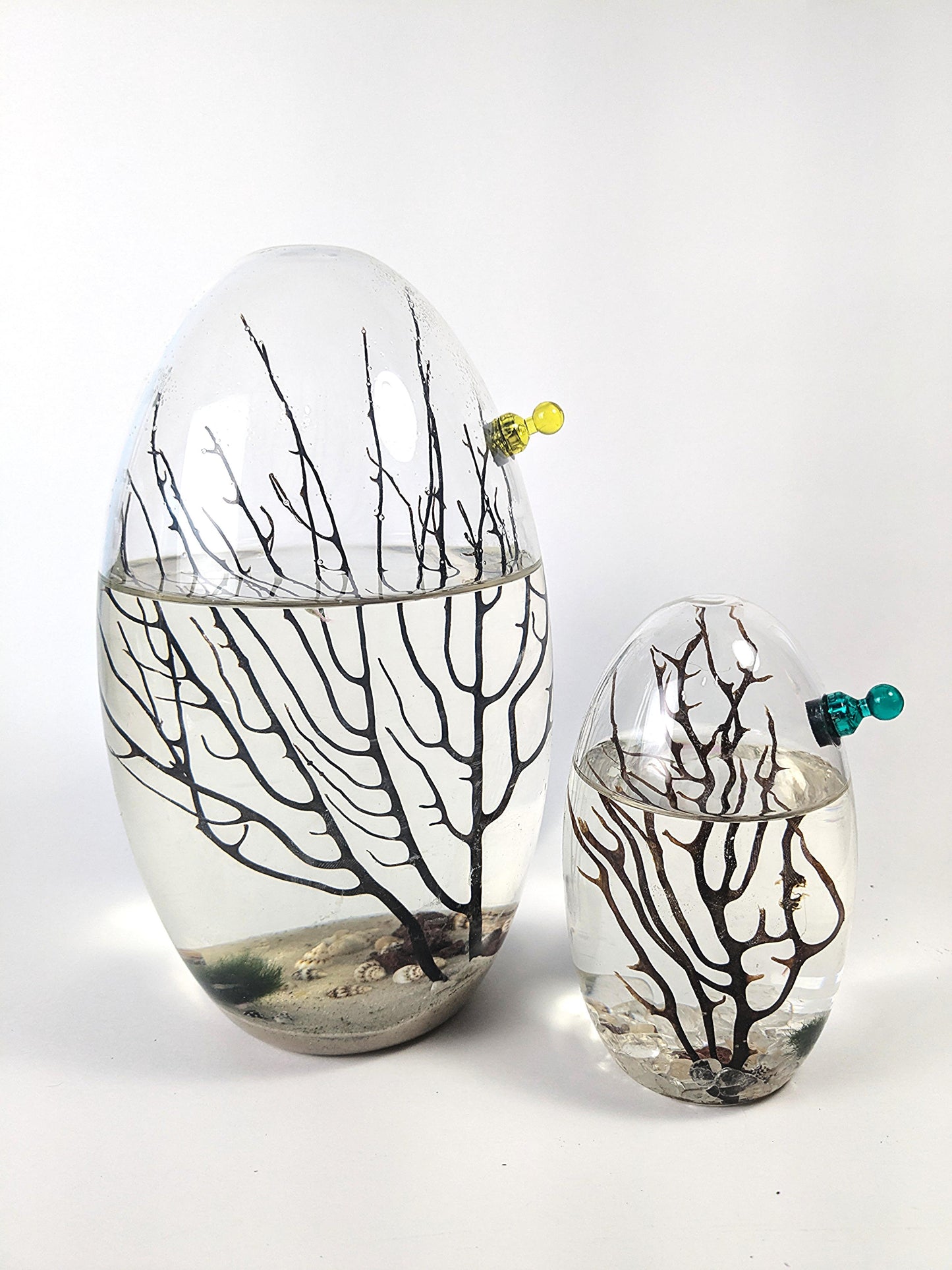 Shrimp Ecosphere - Closed Aquatic Ecosystem  (large glass, natural materials, oval)