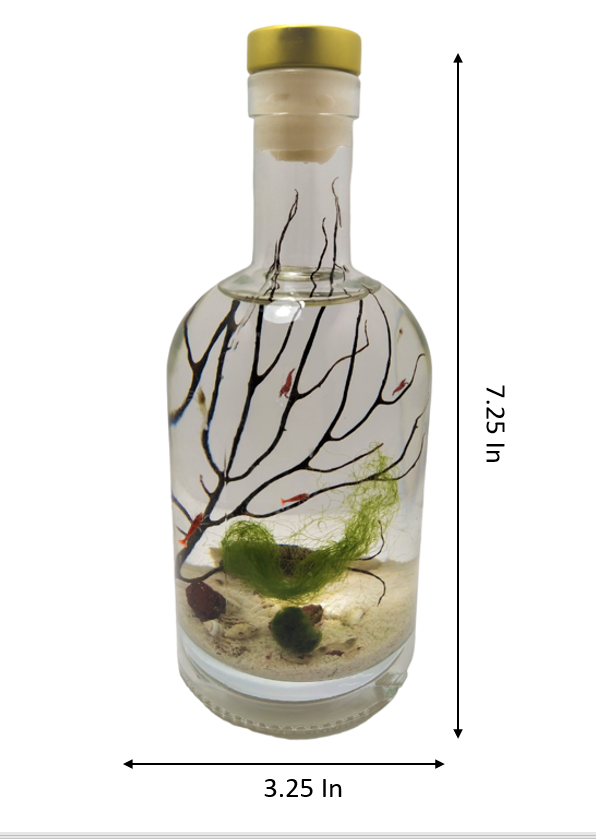 Shrimp bottle- Semi Closed Aquatic Ecosystem (small, glass, natural materials, round)