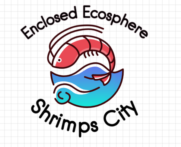 shrimpscity